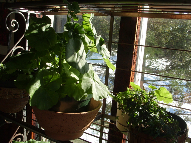 2009-03-01_0015