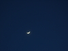 2009-03-01_0056