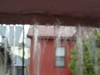 2009-04-21_0010
