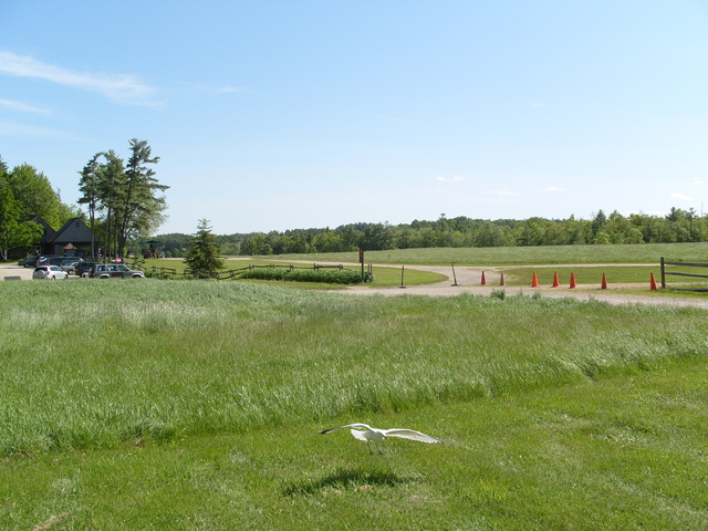 2009-05-25_0012