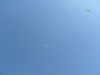 2009-05-25_0013