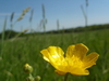 2009-05-25_0021