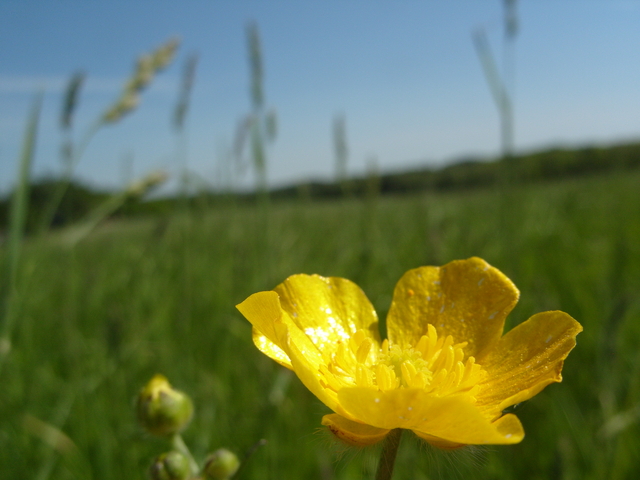 2009-05-25_0021
