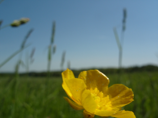 2009-05-25_0024