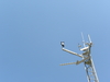 2009-05-30_0011