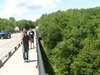 2009-05-30_0018