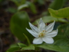 2009-05-30_0064