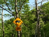 2009-05-30_0079