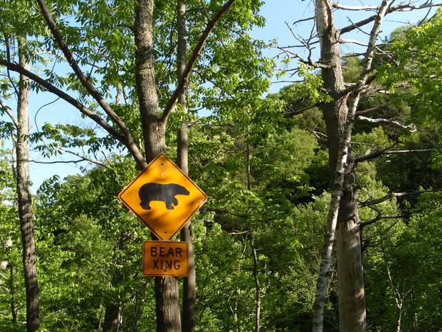 2009-05-30_0079