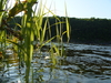 2009-05-30_0098