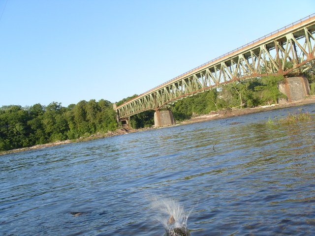 2009-05-30_0103