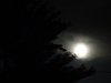 2009-06-07_0006