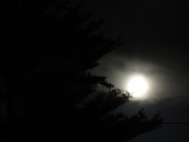 2009-06-07_0006