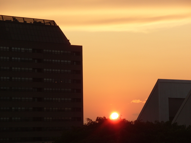 2009-07-16_0001