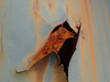 2009-09-06_0041