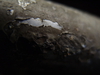 2009-09-06_0047