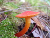 2009-10-10_0008