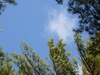 2009-10-11_0003