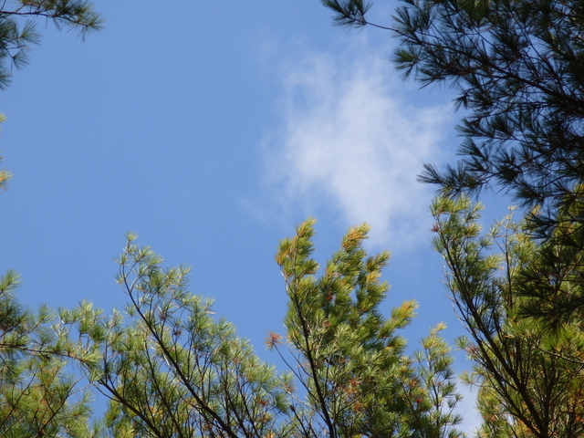 2009-10-11_0003