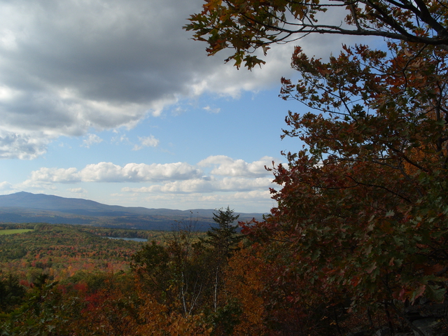 2009-10-11_0008