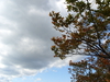 2009-10-11_0009