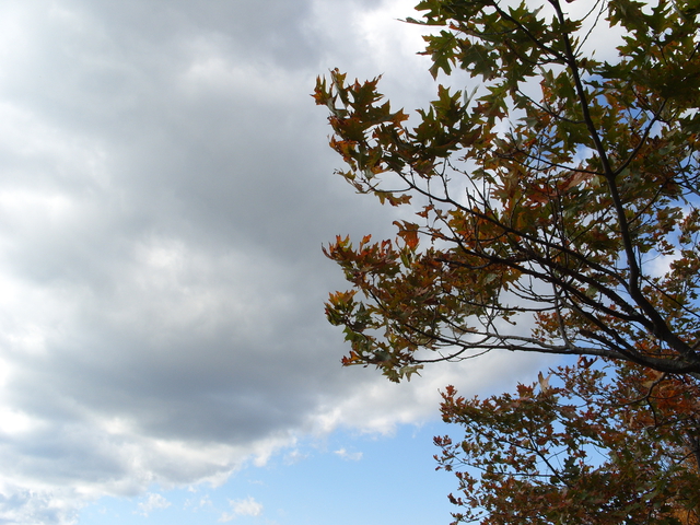 2009-10-11_0009
