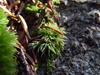 2009-10-11_0022