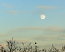 2009-11-01_0040