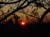 2009-11-01_0049