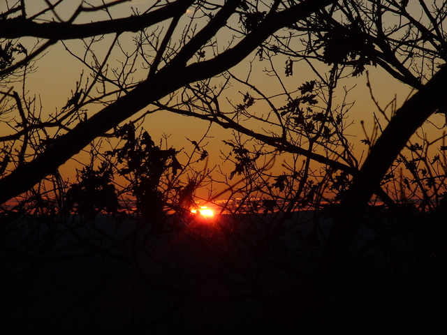 2009-11-01_0049