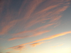 2009-11-01_0061