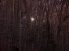 2009-11-01_0079
