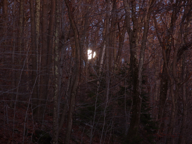 2009-11-01_0079