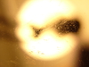 2009-12-10_0001