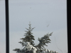2009-12-20_0009