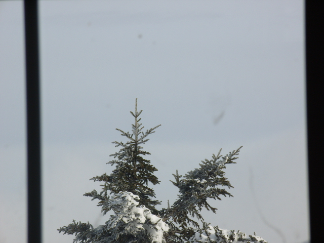 2009-12-20_0009