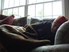 2009-12-26_0005