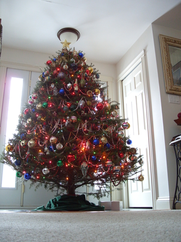 2009-12-26_0014