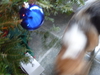 2009-12-26_0022