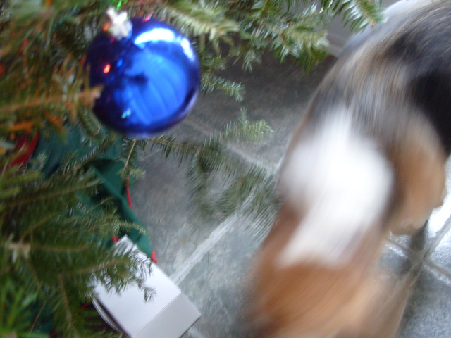 2009-12-26_0022