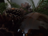 2009-12-26_0023
