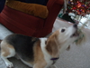 2009-12-26_0028