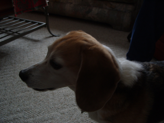 2009-12-26_0029