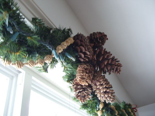 2009-12-26_0034