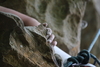 2011-06-08_0127