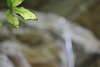 2011-06-08_0131