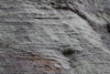 2011-06-08_0140