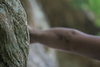 2011-06-08_0141