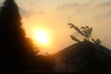 2011-07-02_0012