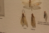 2011-09-03_0009